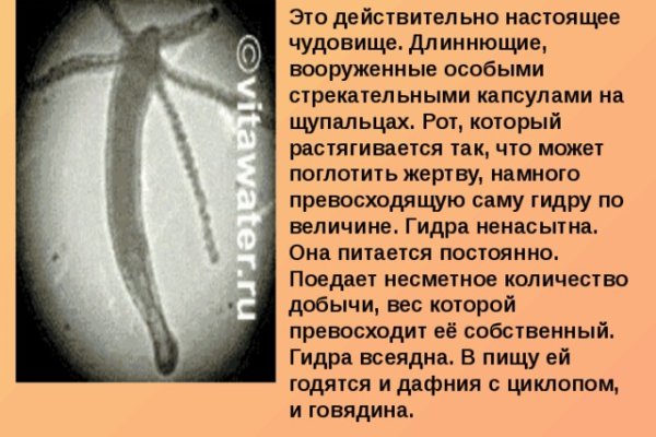 Ссылка на кракен официальный