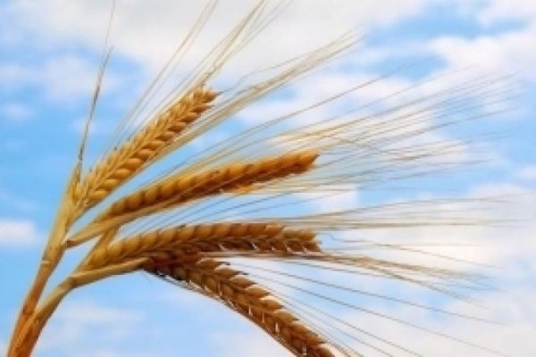 Кракен сайт kr2web