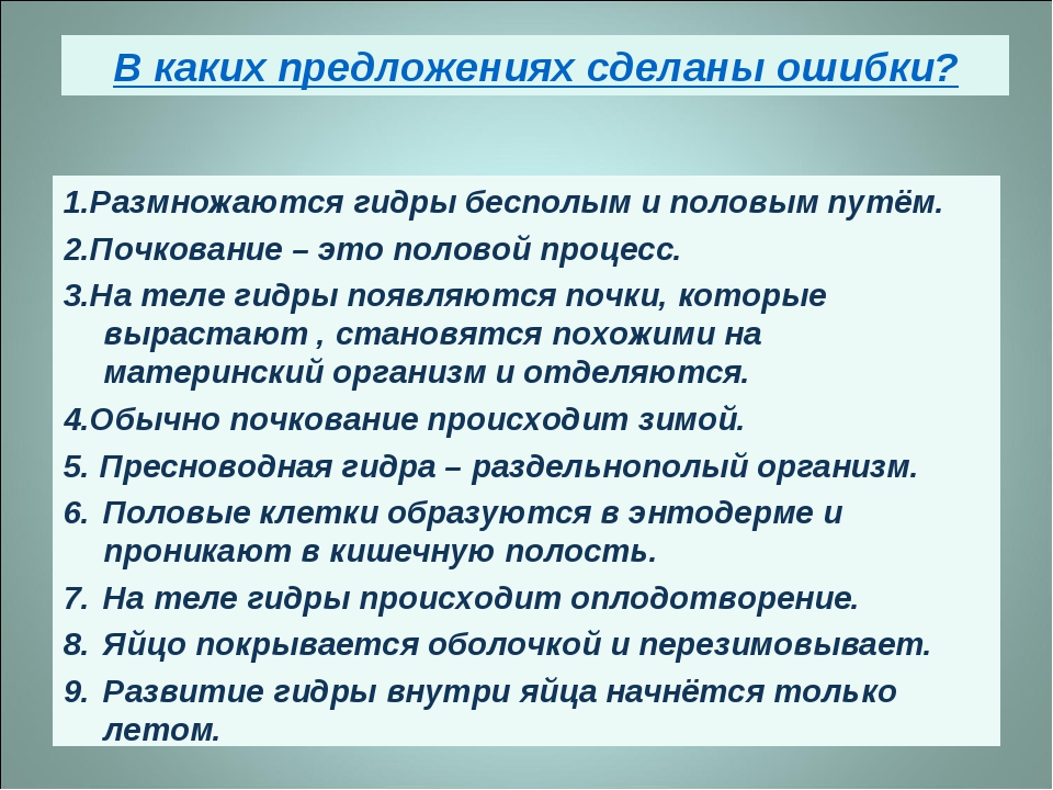 Kra33.cc Вход на сайт главная страница